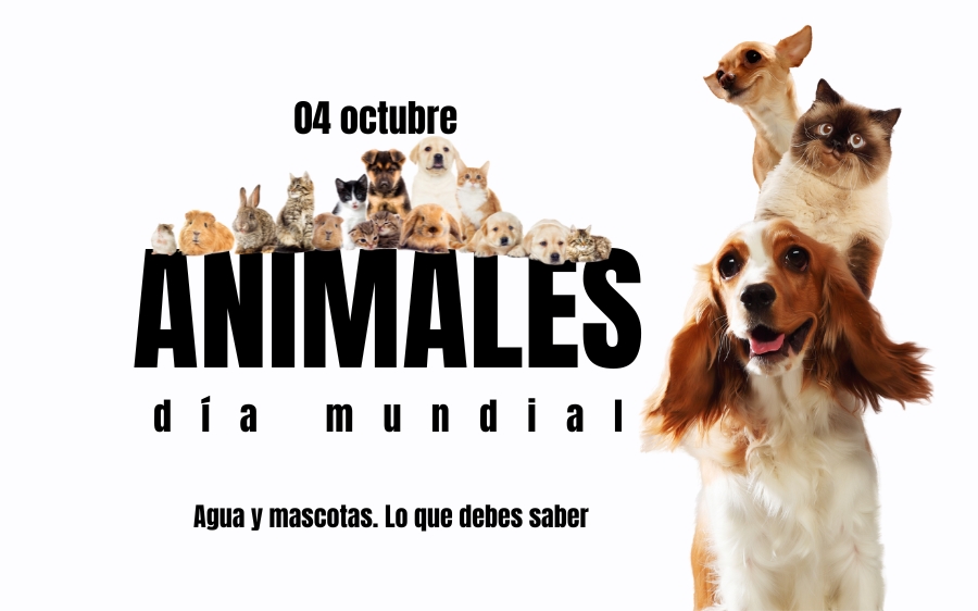 Feliz día mundial de los animales